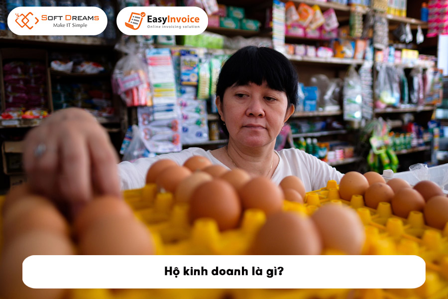 ho-kinh-doanh-la-gi