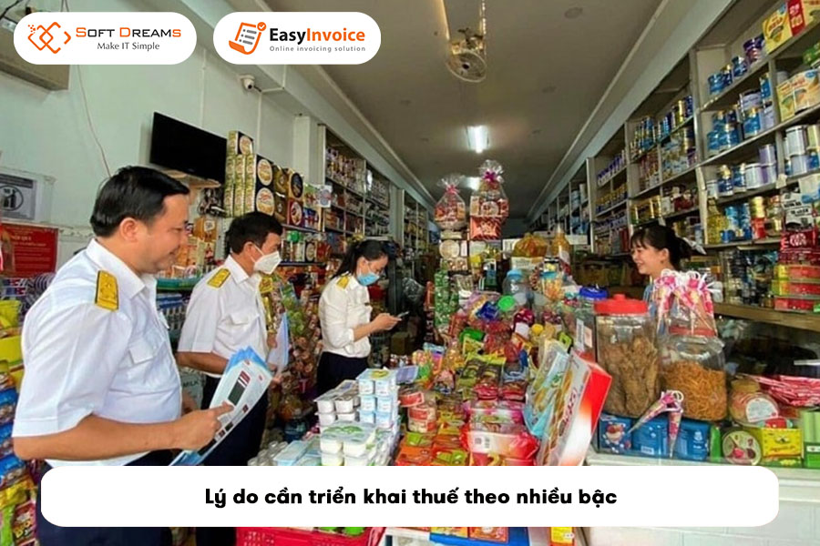 ly-do-can-trien-khai-thue-theo-nhieu-bac
